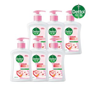 데톨 스킨케어 핸드워시 250g x6개 손세정제 핸드솝 물비누