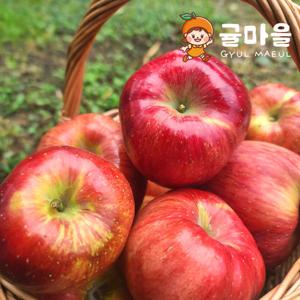 귤마을 가정용 홍로 사과 대과 5kg 18과 내외
