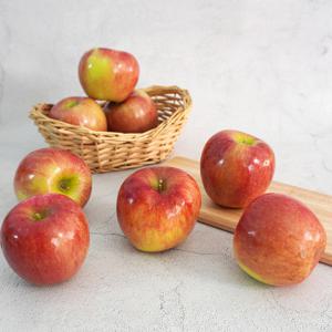 [더조은] 아리수 사과 가정용 3kg 10-13과