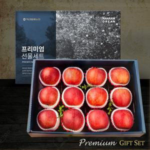 [농협] 한아름드린 프리미엄 사과세트 5kg(특품11-13과)