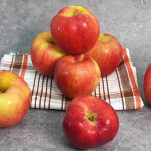 [더조은] 경북 홍로 못난이 꿀사과 2kg 7-9과