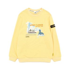 내셔널지오그래픽 키즈 K233USW970 앞판 그래픽 맨투맨 BUTTER
