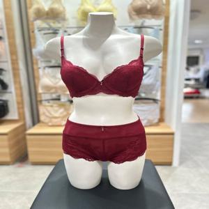 [보디가드] 와인 컴포트 망각브라 맥시팬티 셋트 BGWBA857 BGWPA857