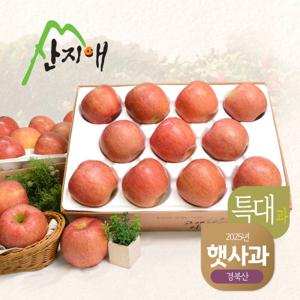 [산지애] 알뜰사과 특대과 4kg*2box(18-26과)