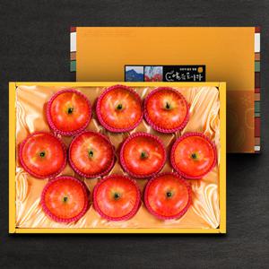 [산내들]명품 밀양얼음골 사과선물세트 4.5kg(9-10과)