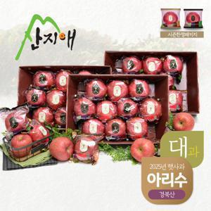 산지애 햇사과 아리수 8.1kg (2.7kg*3박스)