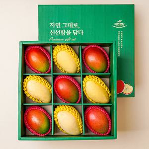 [보자기동봉] 정성 혼합7호 (애플망고5/골드망고4) 과일 선물세트