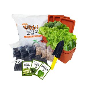 고기친구 쌈채소 재배세트 매운맛 아파트 텃밭 채소 가꾸기 화분