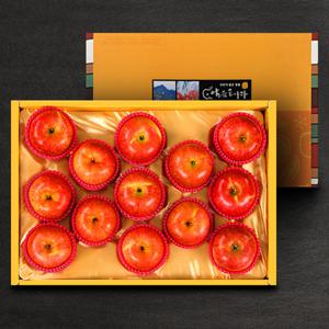 [산내들]명품 밀양얼음골 사과선물세트 4.5kg(13과)