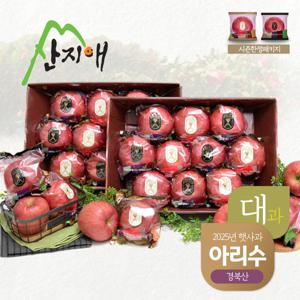 산지애 햇사과 아리수 5.4kg (2.7kg*2박스)