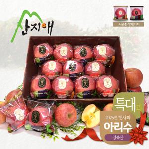 산지애 특대 햇사과 아리수 3.5kg