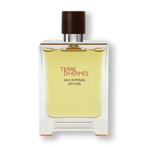 에르메스 떼르 데르메스 오 엥땅스 베티베르 EDP 100ml