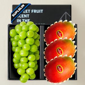 [수플린] 샤인머스켓 1입 & 애플망고 3입 선물세트 (1.8kg)