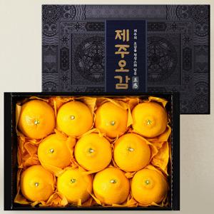 [수플린] 제주오감 황금향 선물세트 2.5kg (8~12과)