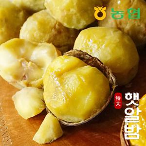 [농협] 토실토실 햇밤 순창 알밤 특대 7kg (제수용)