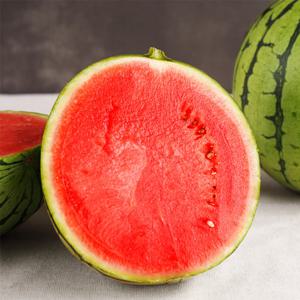 논산 꿀단지 수박 고당도 꿀수박 수박 6-7kg