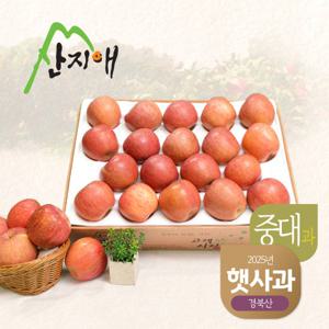 산지애 알뜰햇사과(중대과) 4.5kg (15-21과)