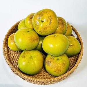 태추단감 1kg 3-6과