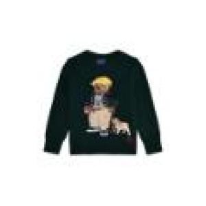 POLO RALPH LAUREN Polo Ralph Lauren Sweaters 323978393001