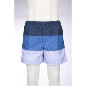 크리스챤디올 스윔팬츠 593B111A2021 585 Blue