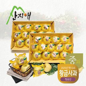 산지애 황금 사과 시나노골드 6kg (3kg*2박스)