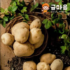 귤마을 포슬포슬 국내산 감자 5kg 대