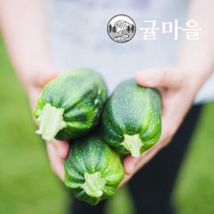 귤마을 가정용 애호박 5개 개당 400-500g