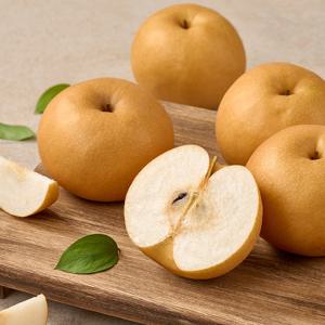 나주배 햇배 신고배 가정용 5kg 6-7과