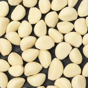국산 깐마늘(대) 1kg