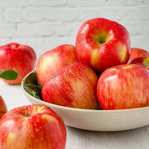 [10/1 오전9시주문까지 명절전배송]경북 햇 사과 가정용 홍로사과 2.5kg 중과(13~14과 내외)