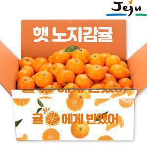새콤달콤 제주직송 햇노지감귤 9kg/중대과/실중량