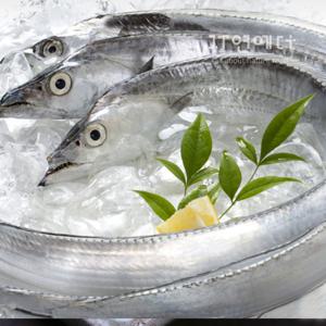 제주 성산포수협 은갈치 1.1kg / 5마리 (1마리당 4토막)