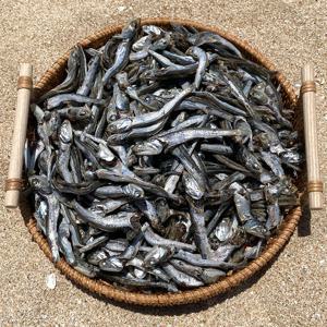 통영 다시멸치 1.5kg 특품 남해멸치 국물멸치 대멸치