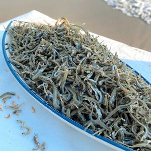국산 까나리 멸치 500g 보리멸치 건까나리 꽁멸치