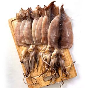 국산 반건조오징어 1kg / 피데기오징어 파지오징어