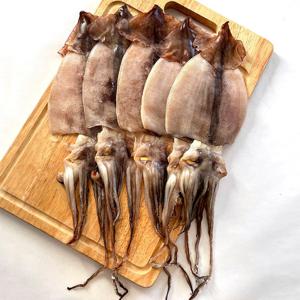 국산 반건조오징어(중) / 동해안 반건오징어
