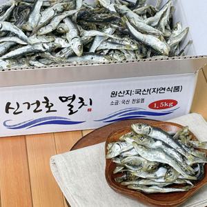 남해안 햇 정어리 멸치 1kg 육수용 청어 솔치