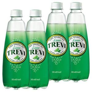 롯데 트레비 라임 300ml x 40PET (20펫x2박스)
