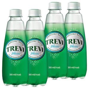 롯데 트레비 플레인 300ml x 40PET (20펫x2박스)