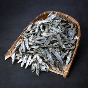 백송식품 남해안 디포리(밴댕이)육수 국물용 1.5kg(최상)