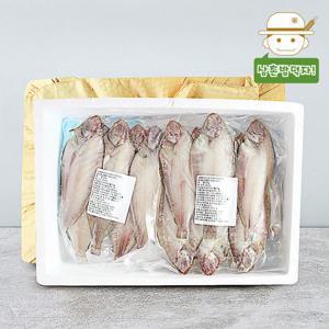 동해 반건조 물가자미(미주구리) 선물세트 1kg