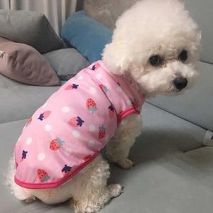 [라일리] Rly 반려견 과일 스타일 다양한 컬러 나시 패턴 실내