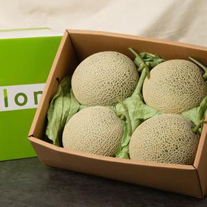 머스크 메론 선물세트 8kg(4-5과) 로얄과