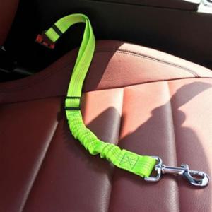 강아지 안전벨트