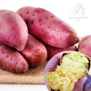 [웰굿] 퍽퍽한 스콘구마 25호 밤고구마 5kg(한입,개당20-50g)