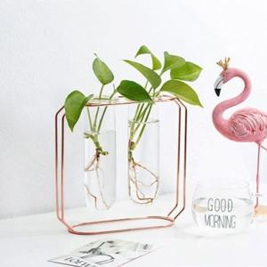 플랜테리어 시험관 21x20cm 꽃병 인테리어 유리화병