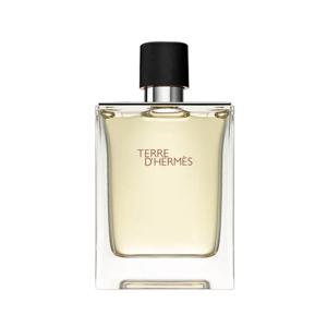 에르메스 떼르 데르메스 EDT 100ml