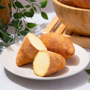 [미식한가] 국내산 꿀뚝뚝 호박고구마 2kg 한입(50g내외)