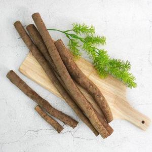 [더조은]국내산 생 우엉 (알뜰반찬용 굵은것) 2kg