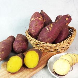 해남 황토 꿀밤 고구마 10kg 한입(20-50g미만)